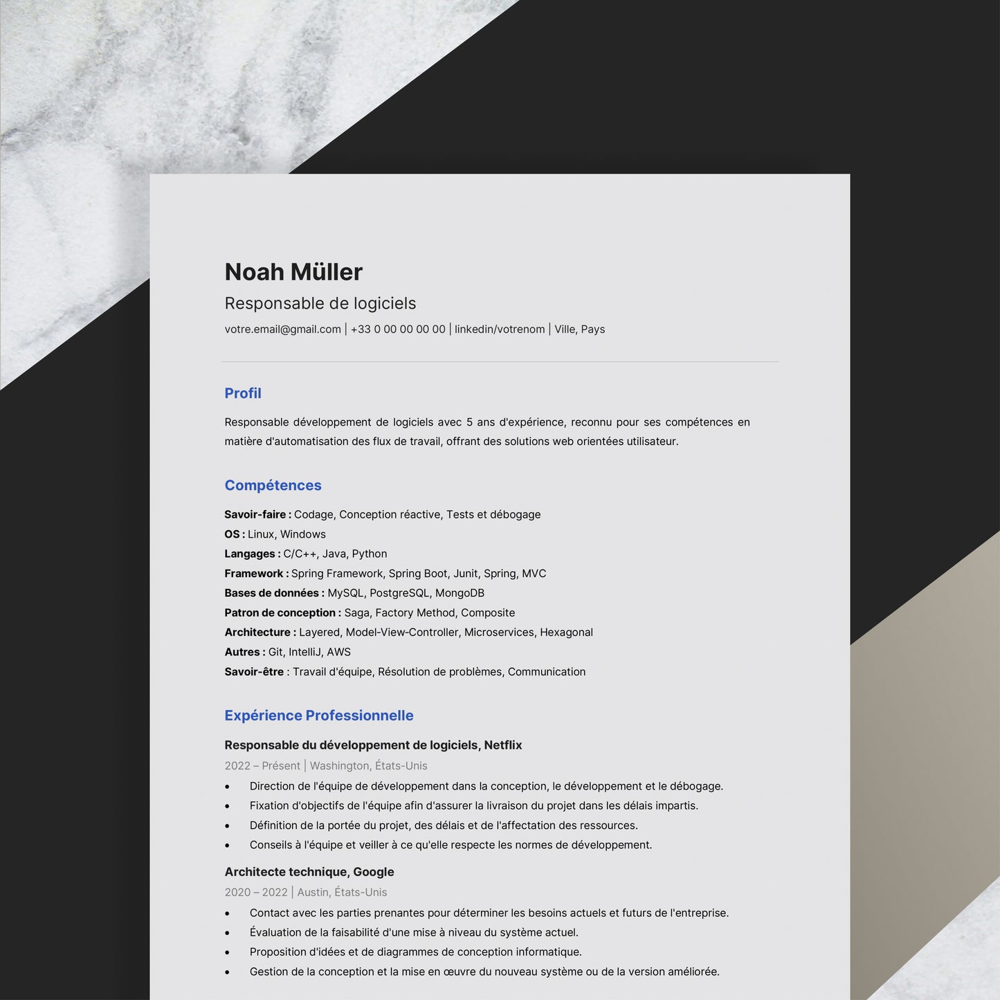 IT Resume Design - No picture