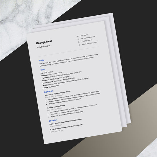 IT Resume Design - No picture
