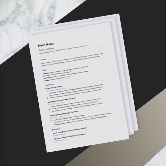 Versatile Resume Design - No picture
